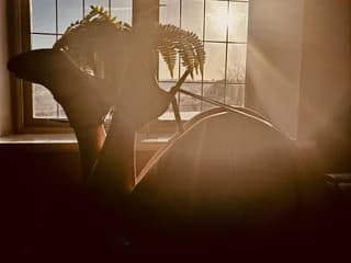 WebCAM de KatieCarterX